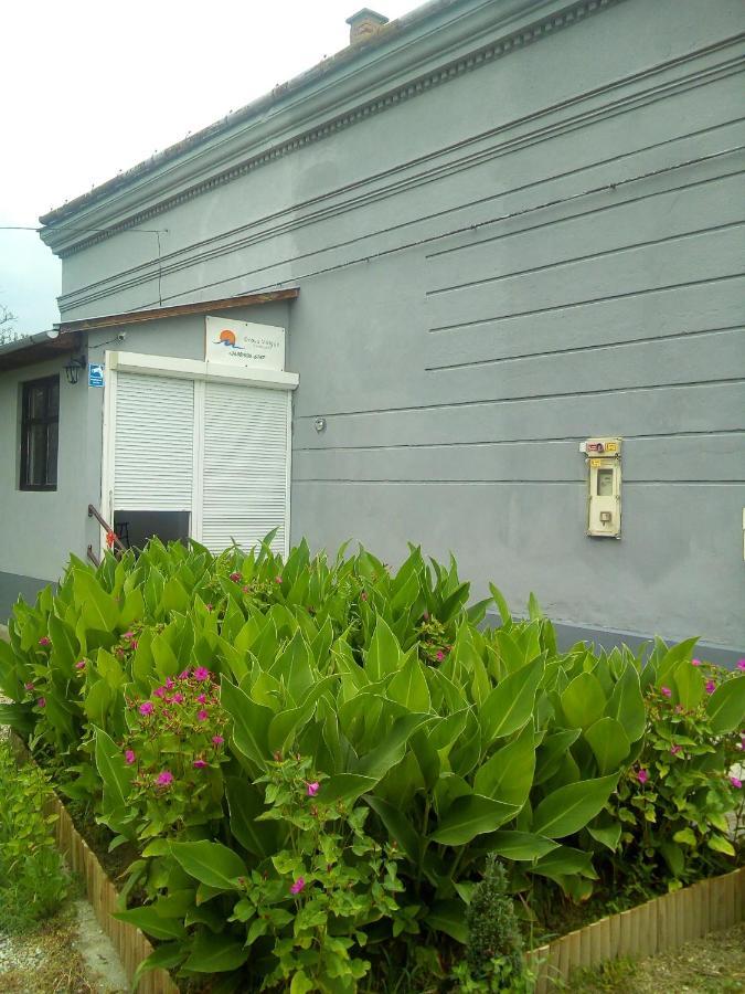 Drava Voelgye Vendeghaz Hotel Zakany Exterior photo